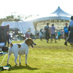 121_ITADAKI 2014 Photo by Shoji